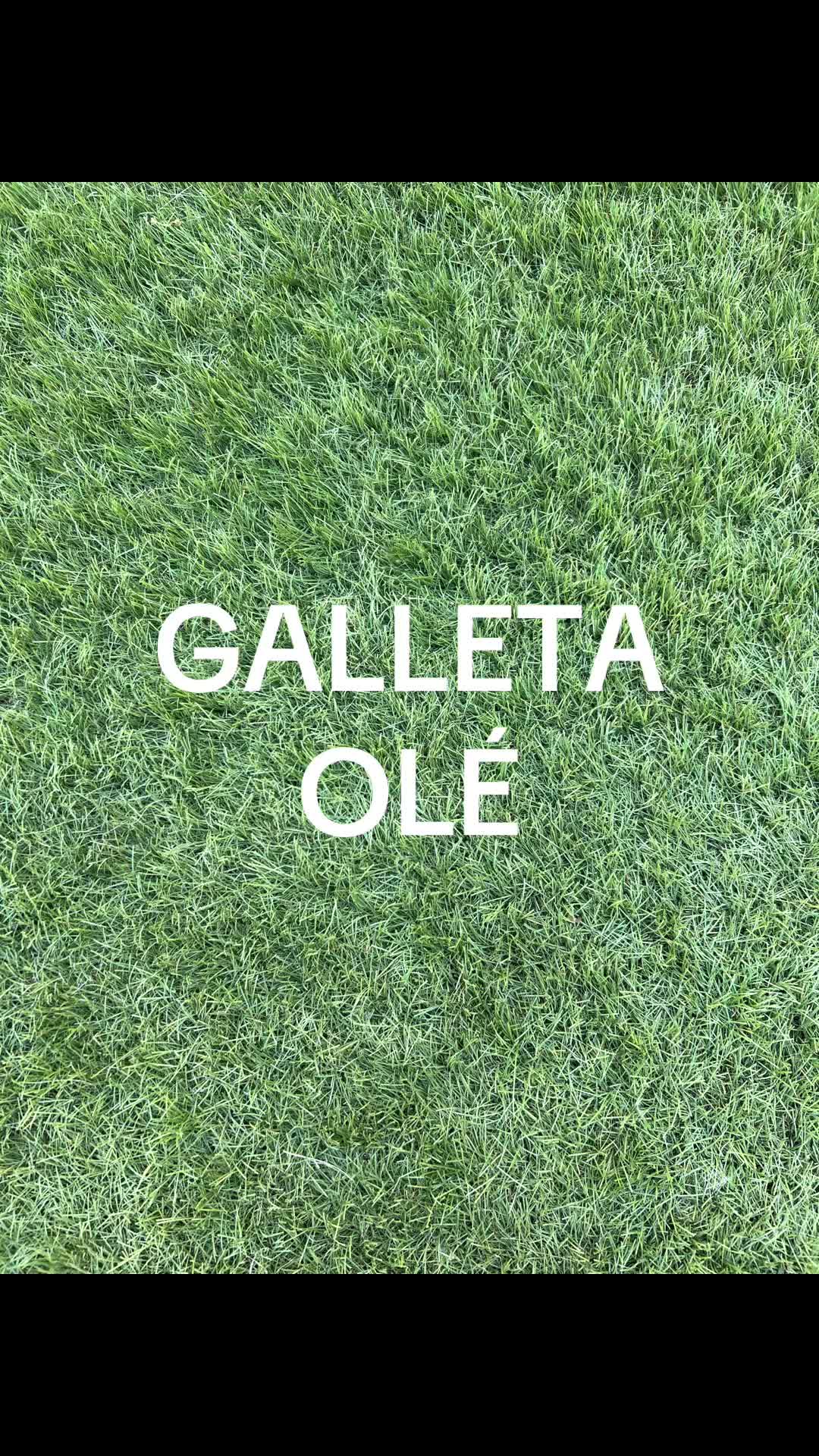 @CALI 🤍PICA