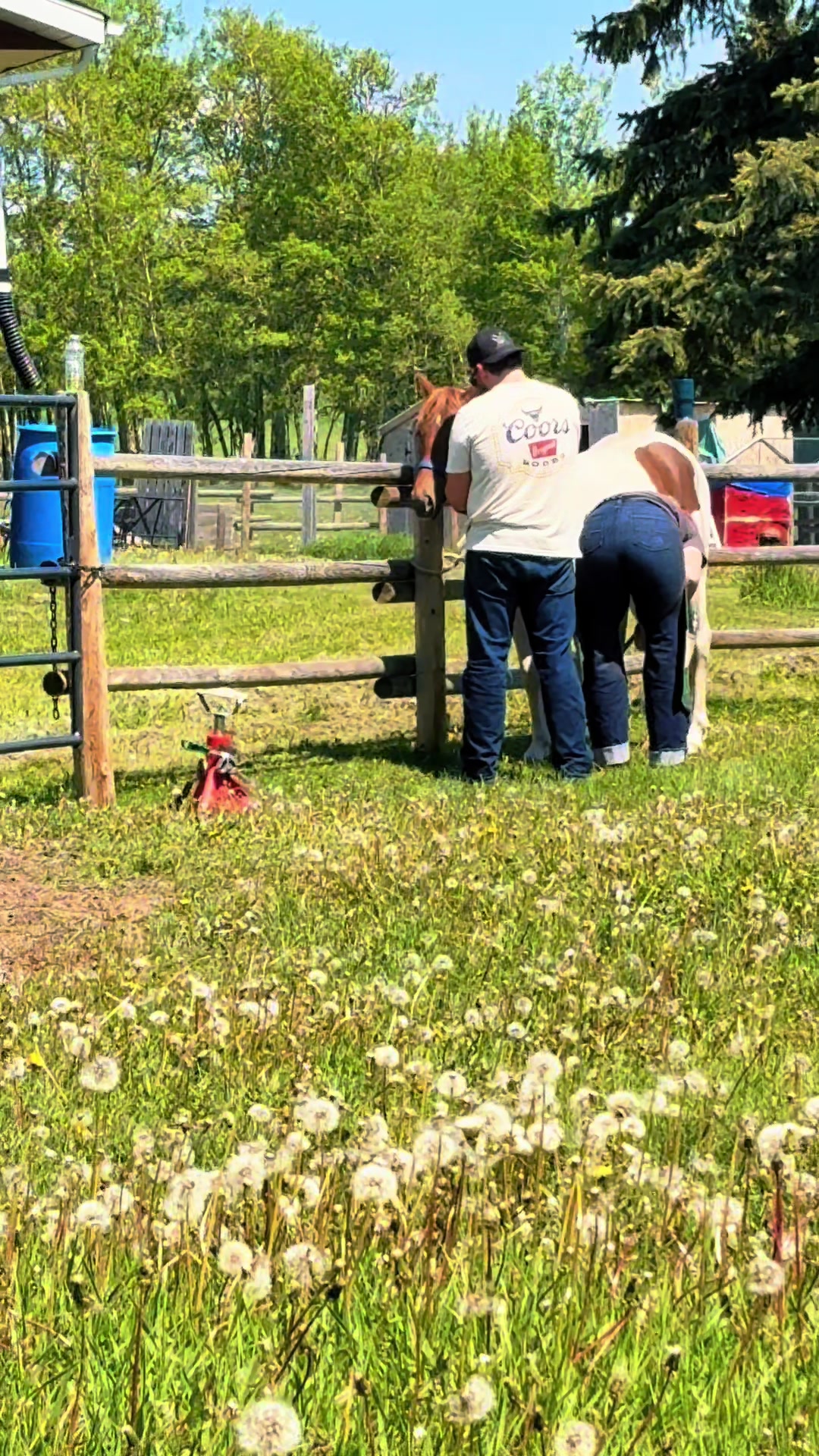 @Ferally Fowl Farmstead