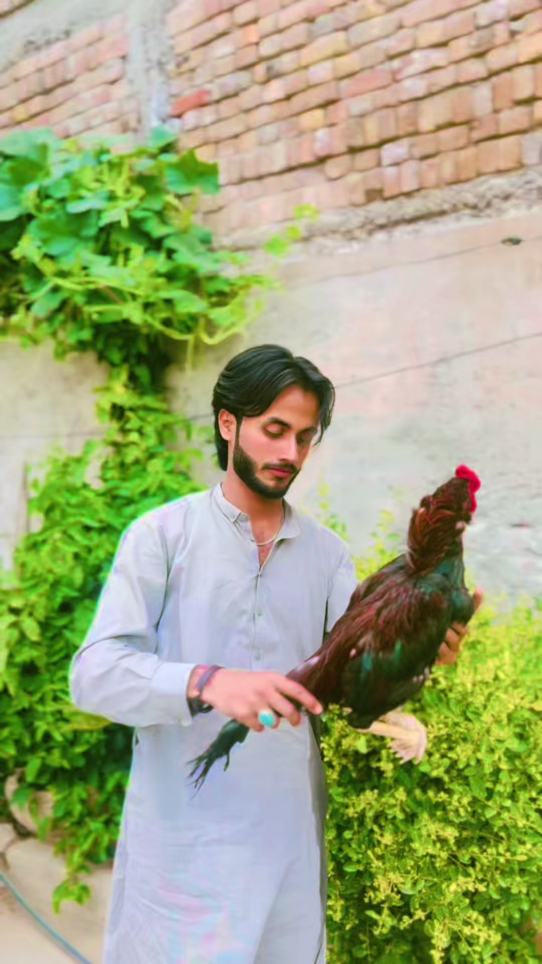 @👑عثمان اصیل 👑