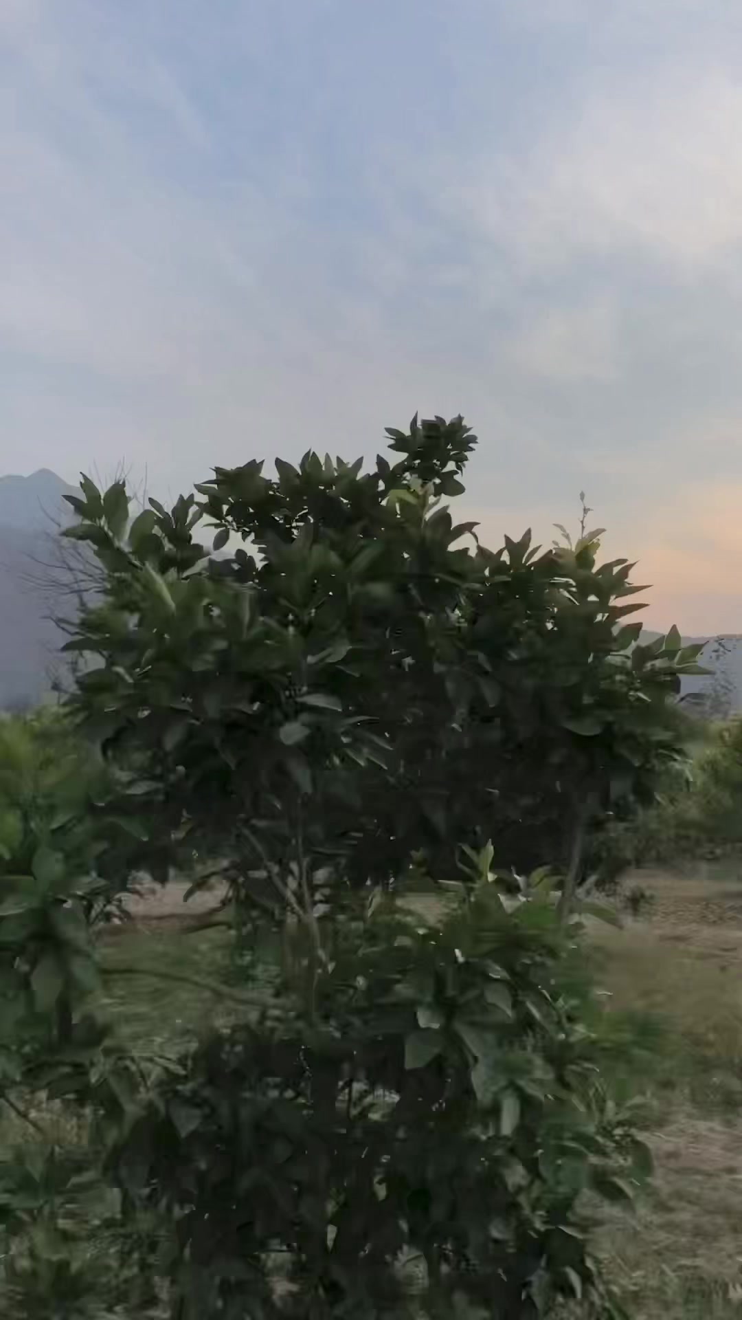 @وقار 🇦🇫