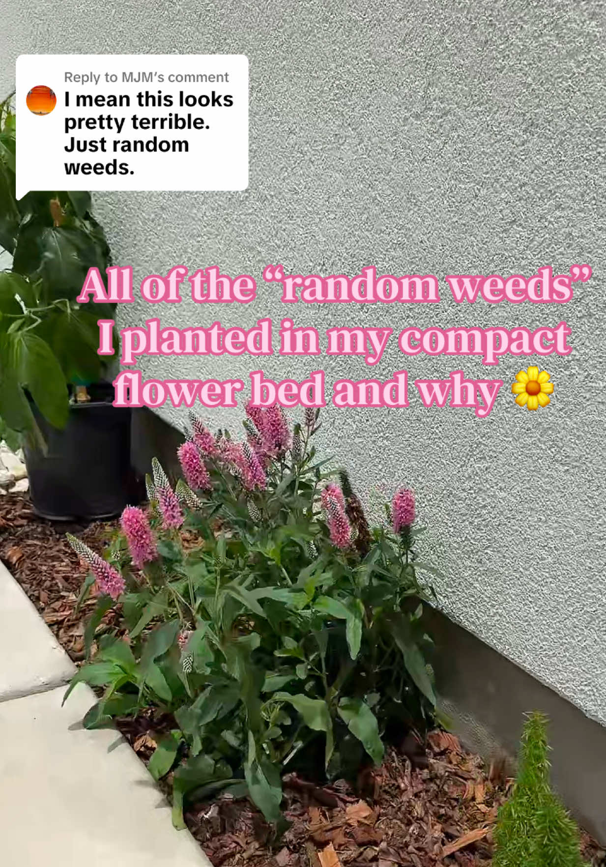 @Lauren✨🧚🌼Mom Life & Hobbies