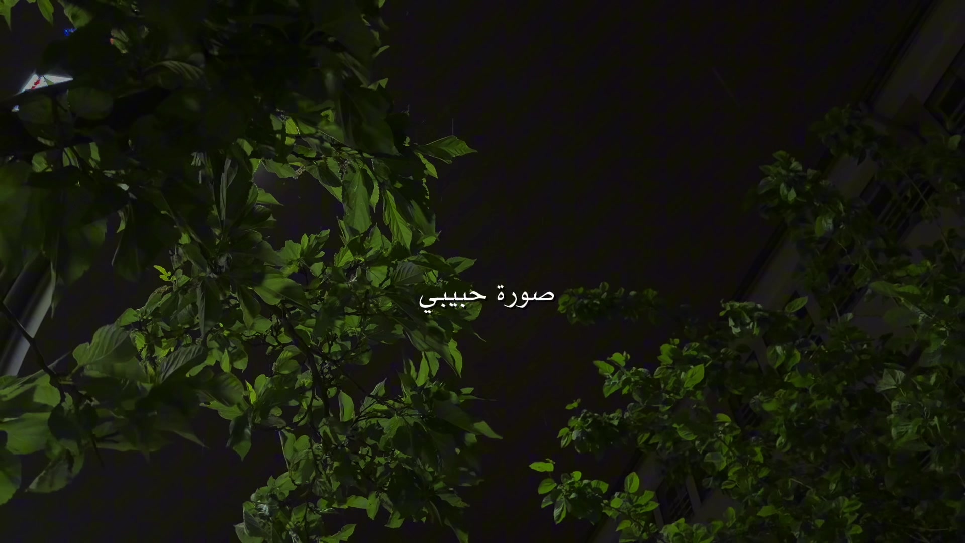 @ناصر