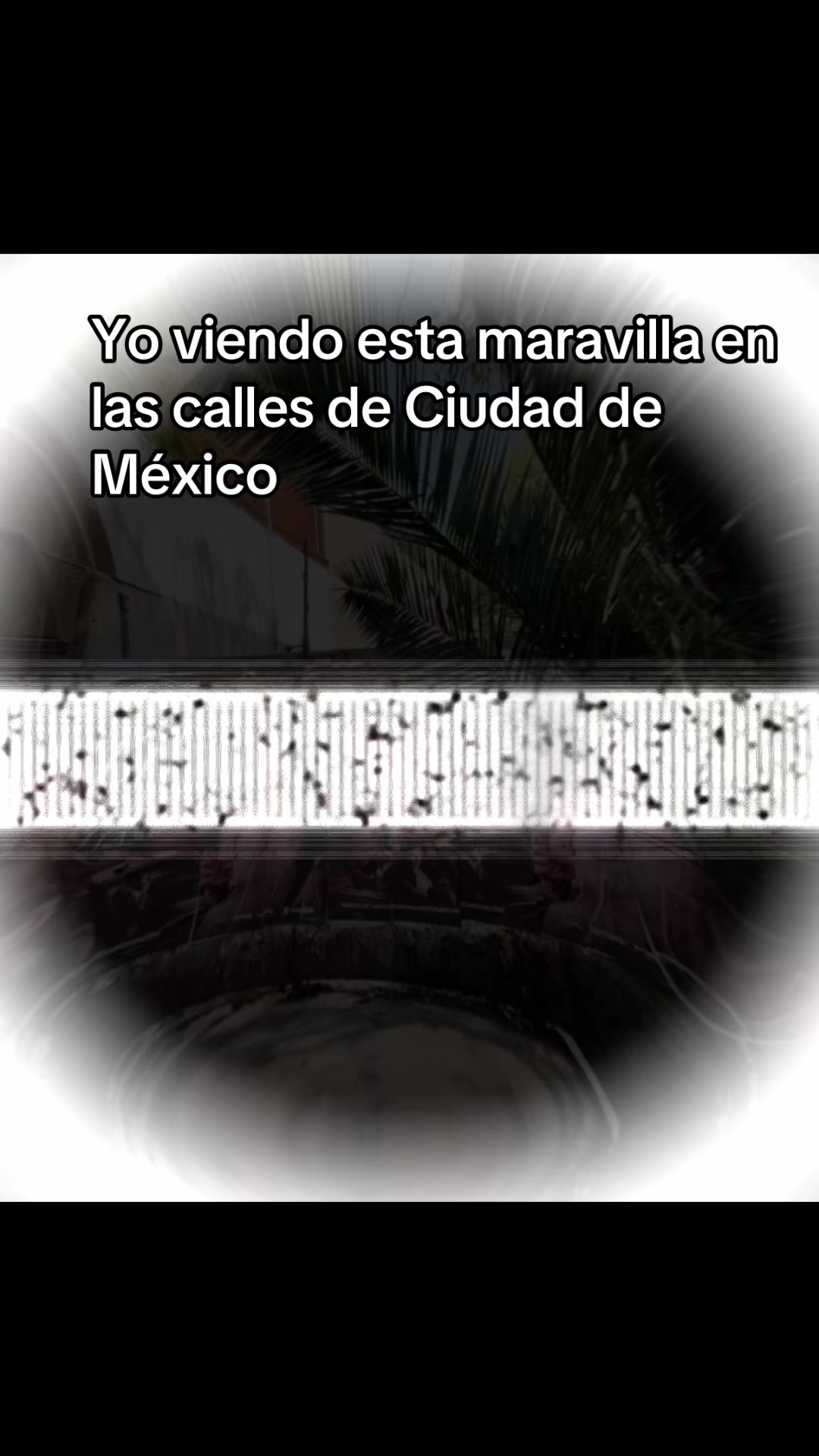 @JULI-KFANS.