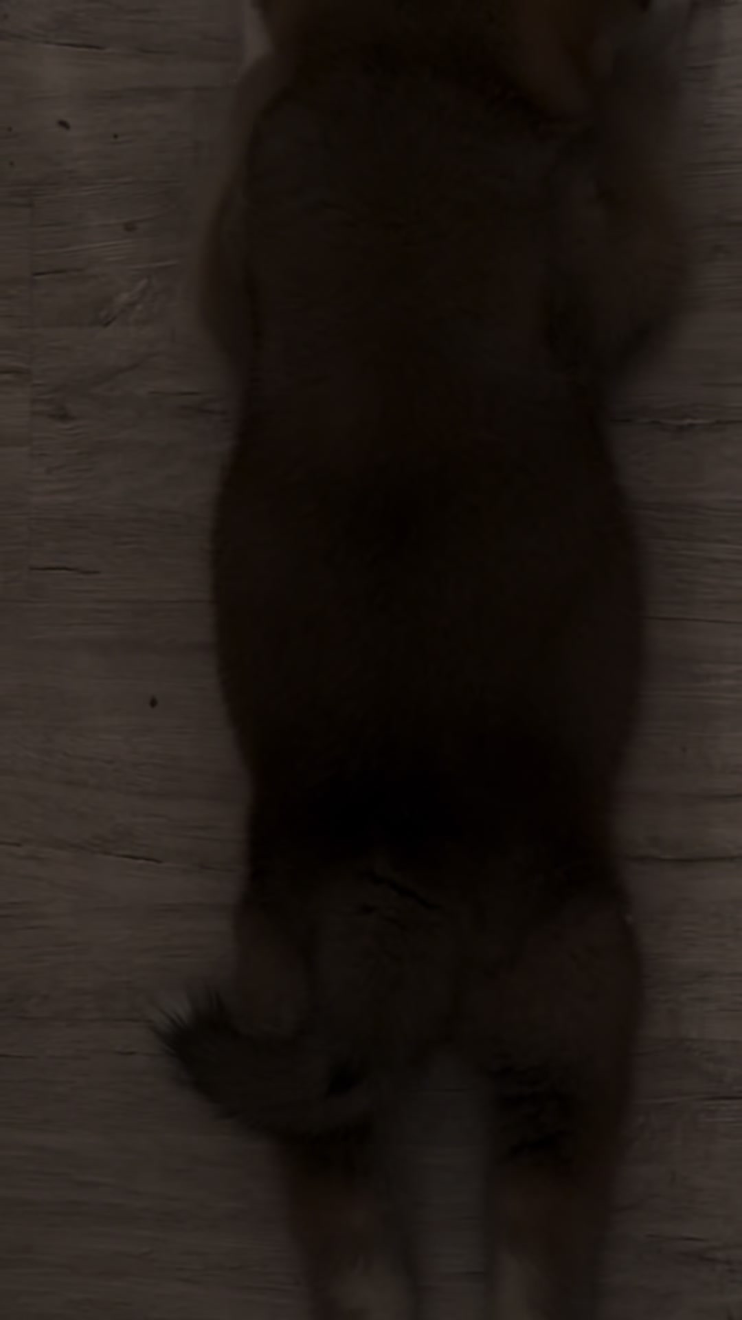 @oh_myakita