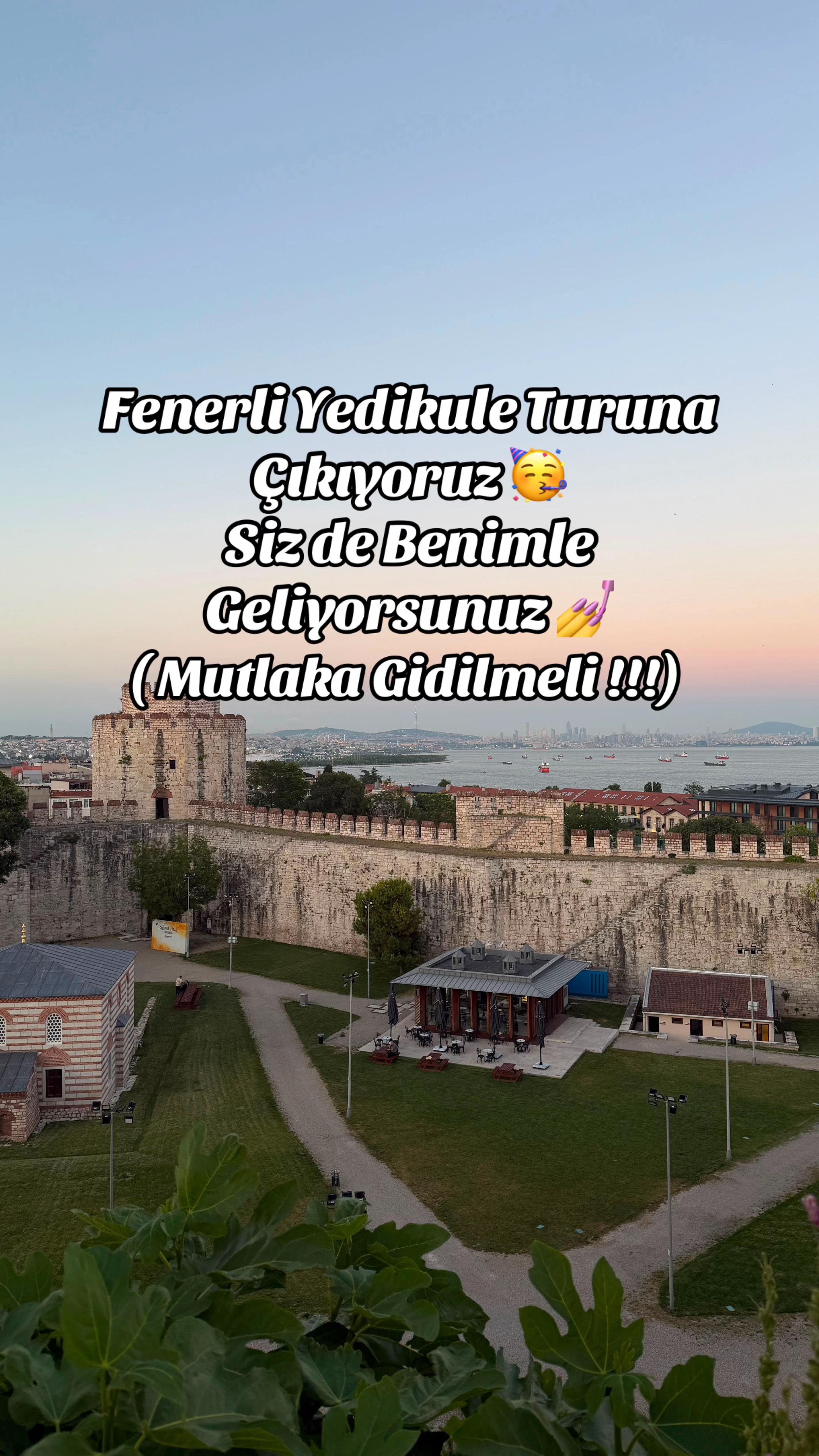 @İstanbul Kedisi