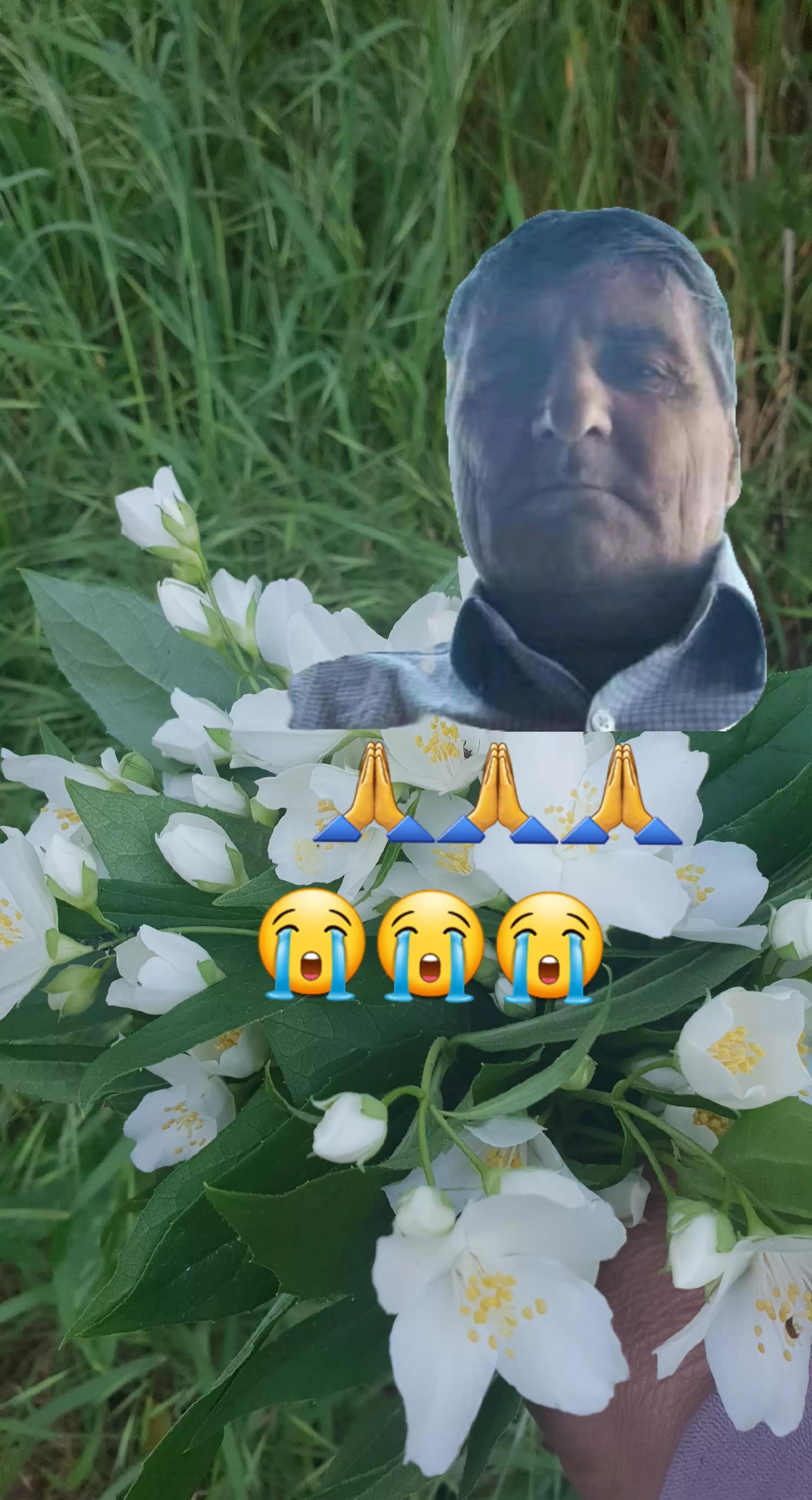 @Marry Mary