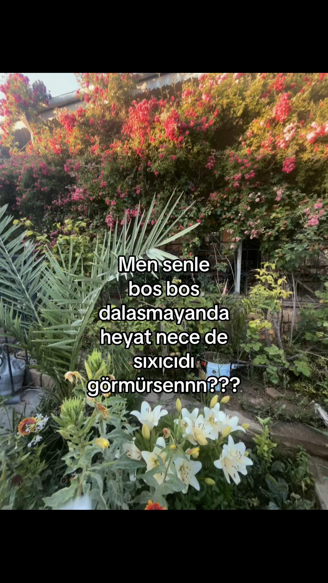 @𝓧.𝓒