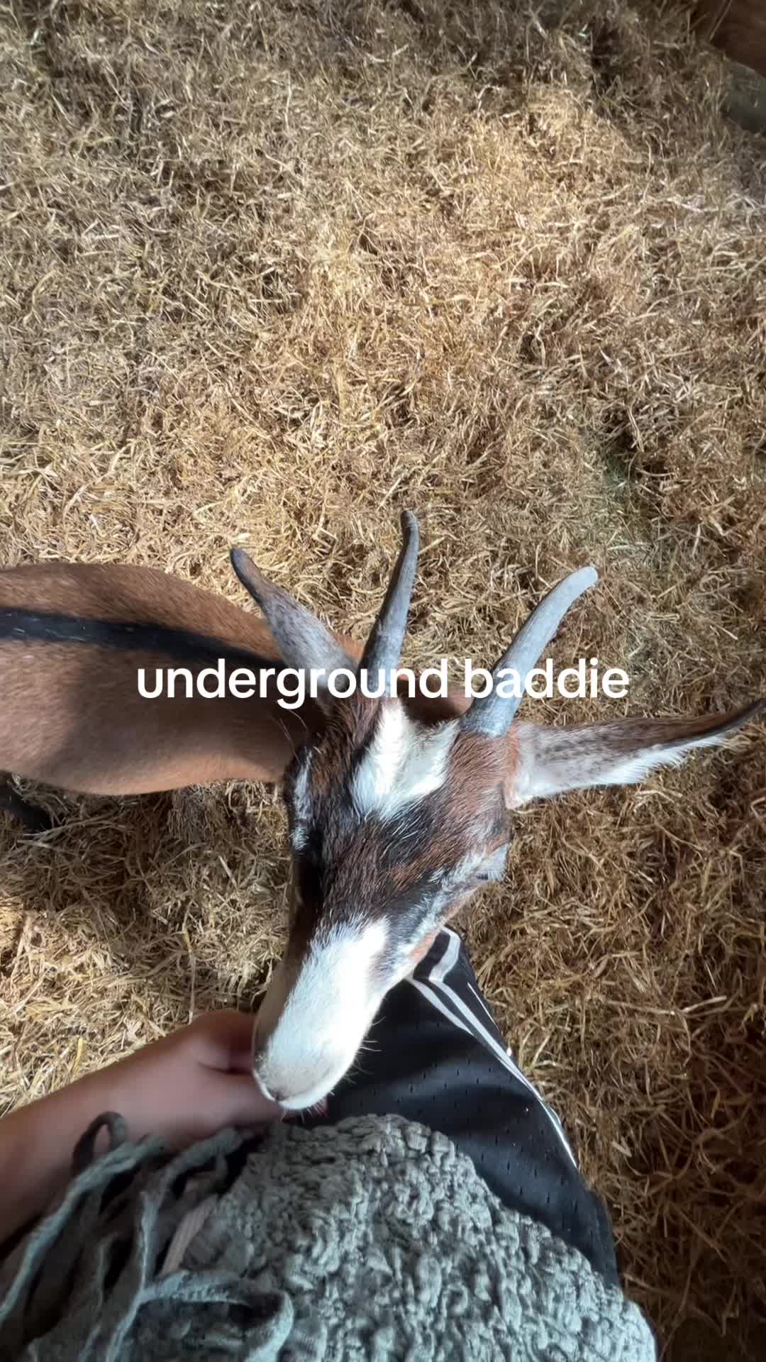 @63