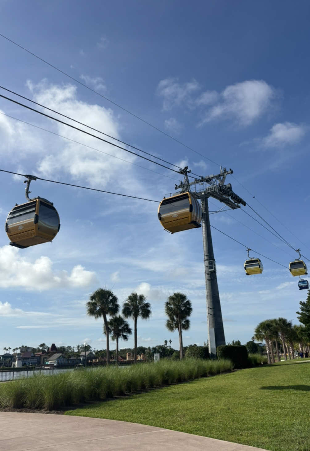 @tori🌞🌴🎡🎢🎟️🍿