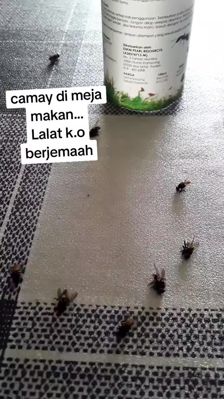 @MALAGHAZALI