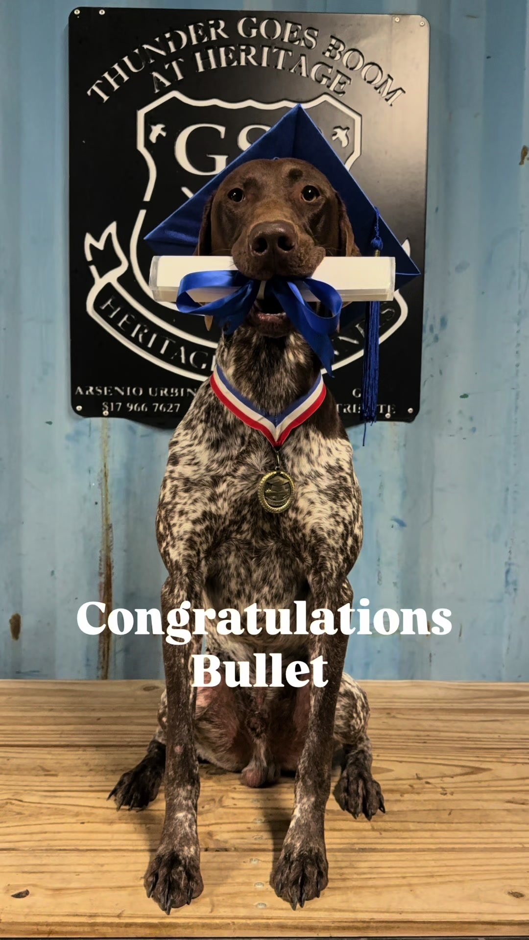 @heritagegspkennels