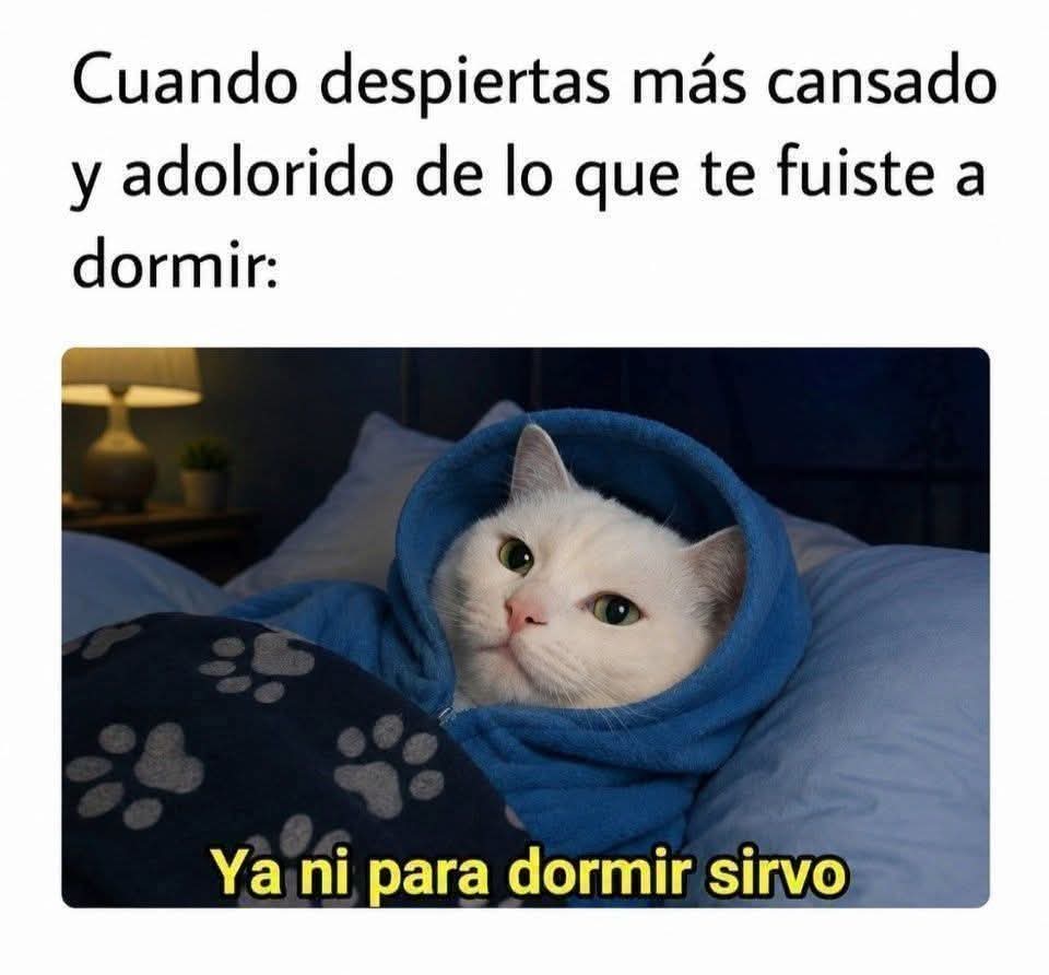 @Sarita