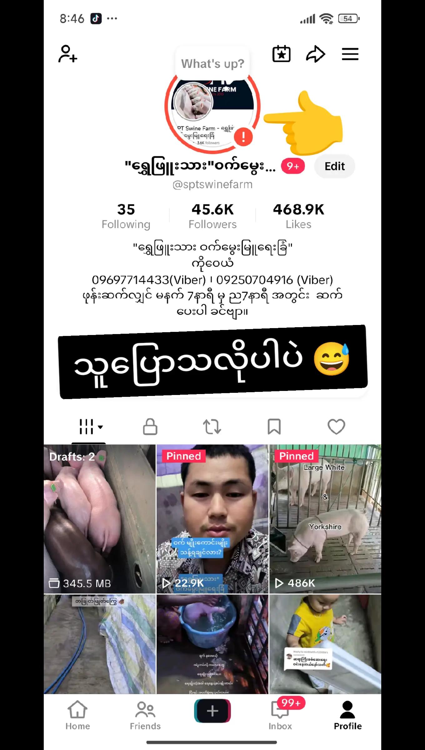 @"ရွှေဖြူးသား"၀က်မွေးမြူရေးခြံ