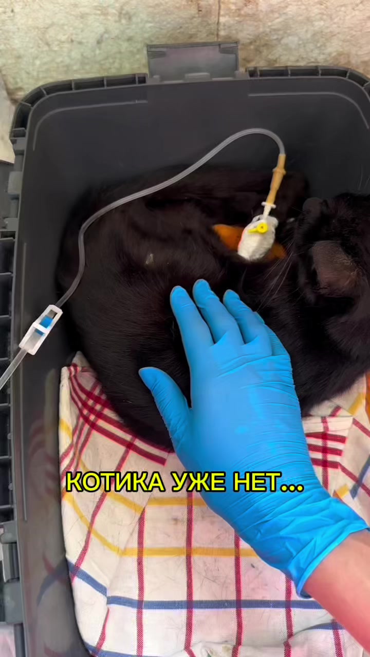 @ЗООшанс