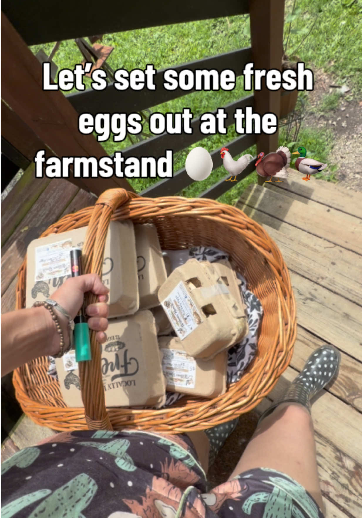 @Haley The Homesteader