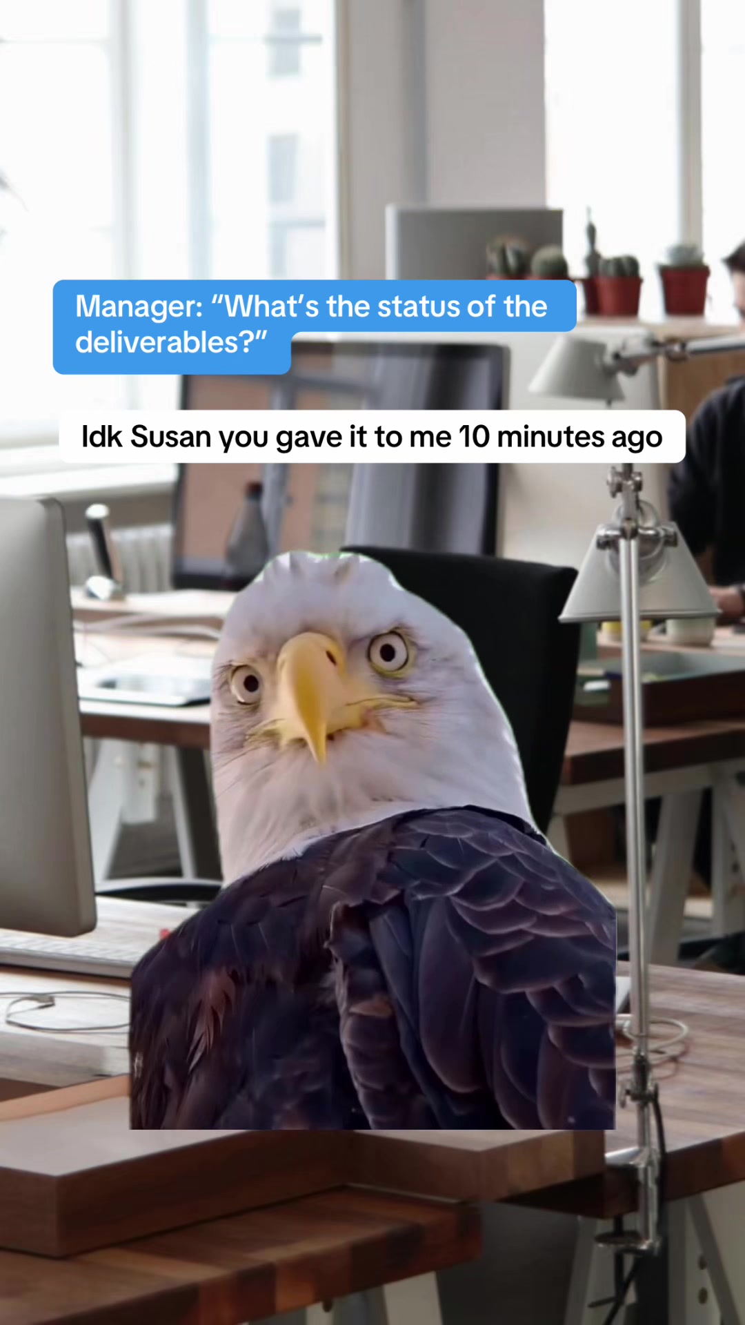 @Becker Accounting