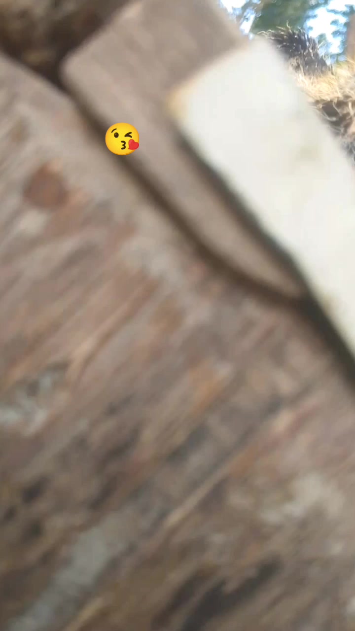 @🖤🖤