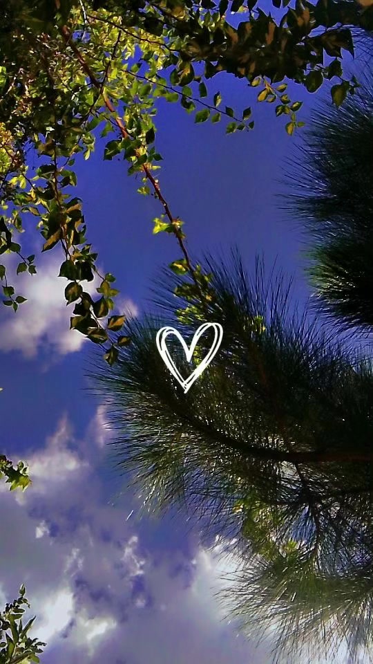 @@_Jary_🍁