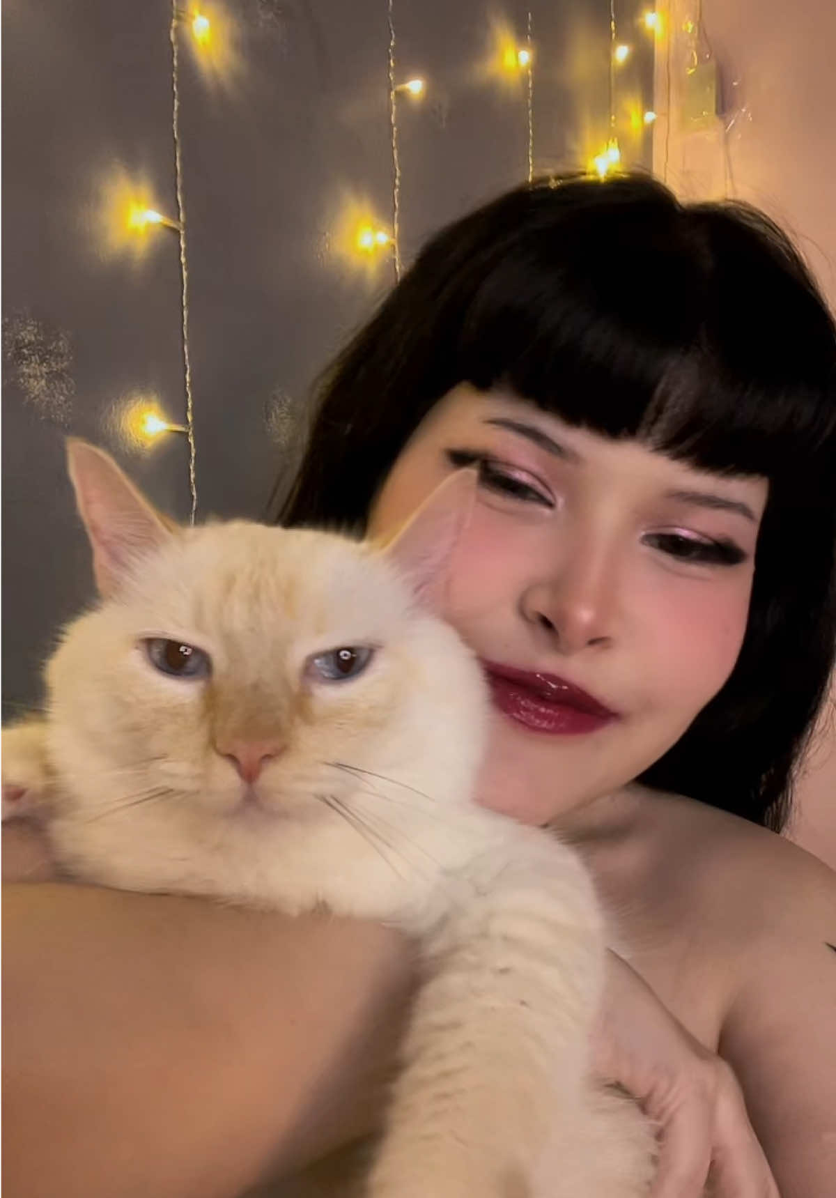 @✨Fanyxkat🌙