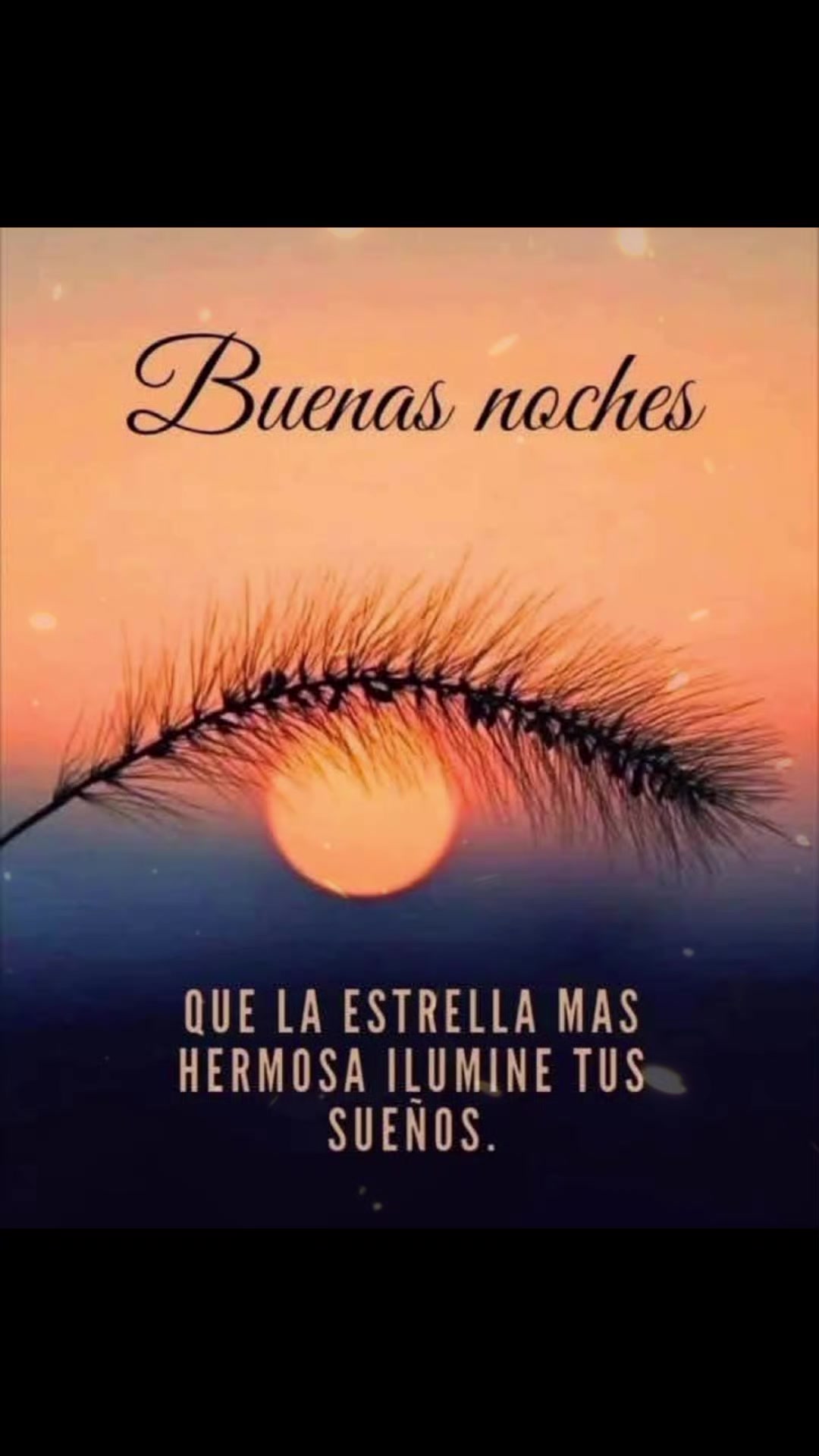 @Hernan montoya