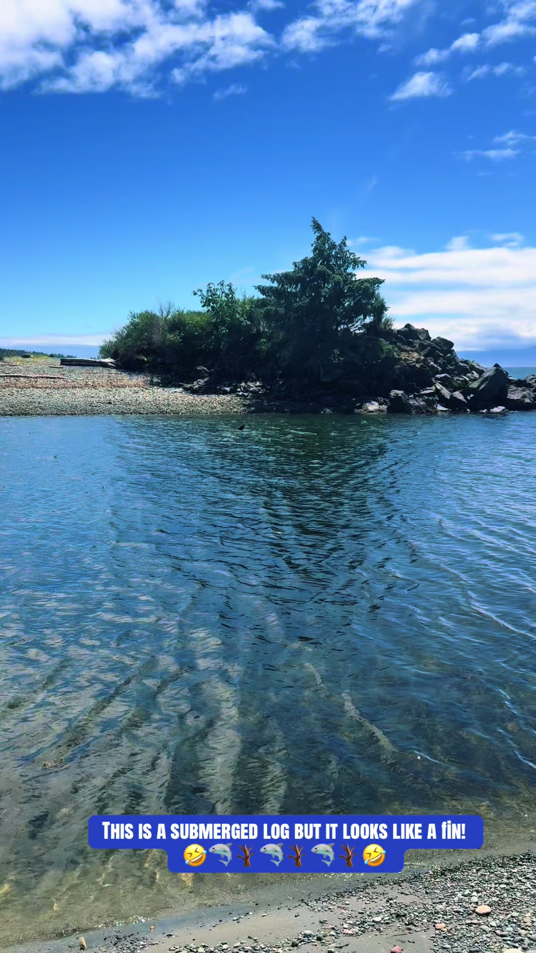 @Vancouver Island BC Canada