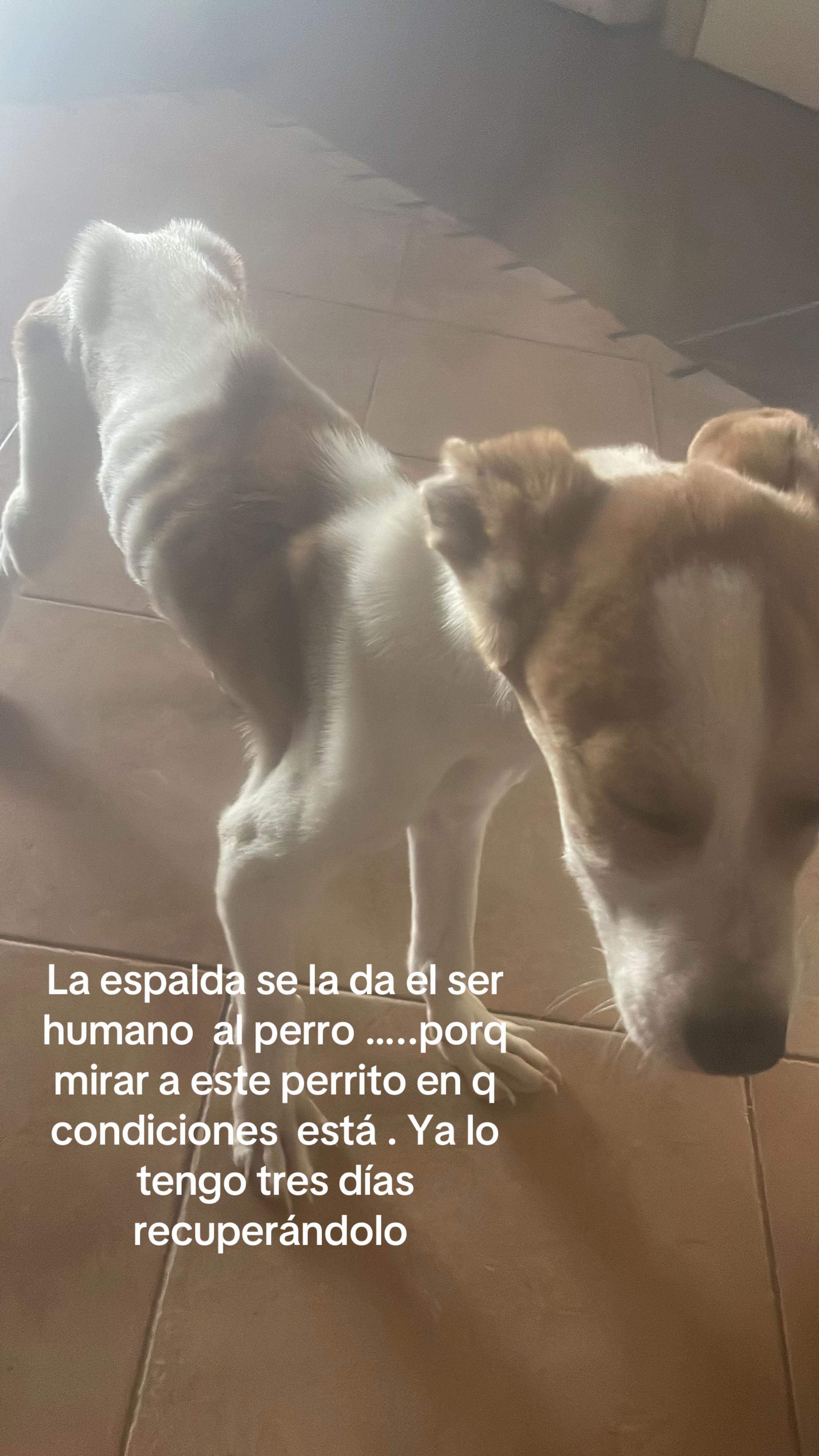 @Isabel la gitana