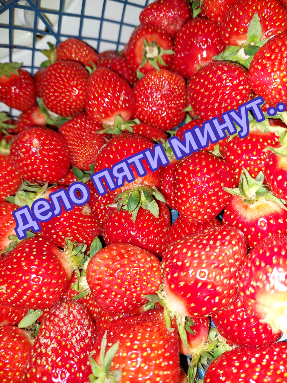 @Рыся✔️🇧🇾