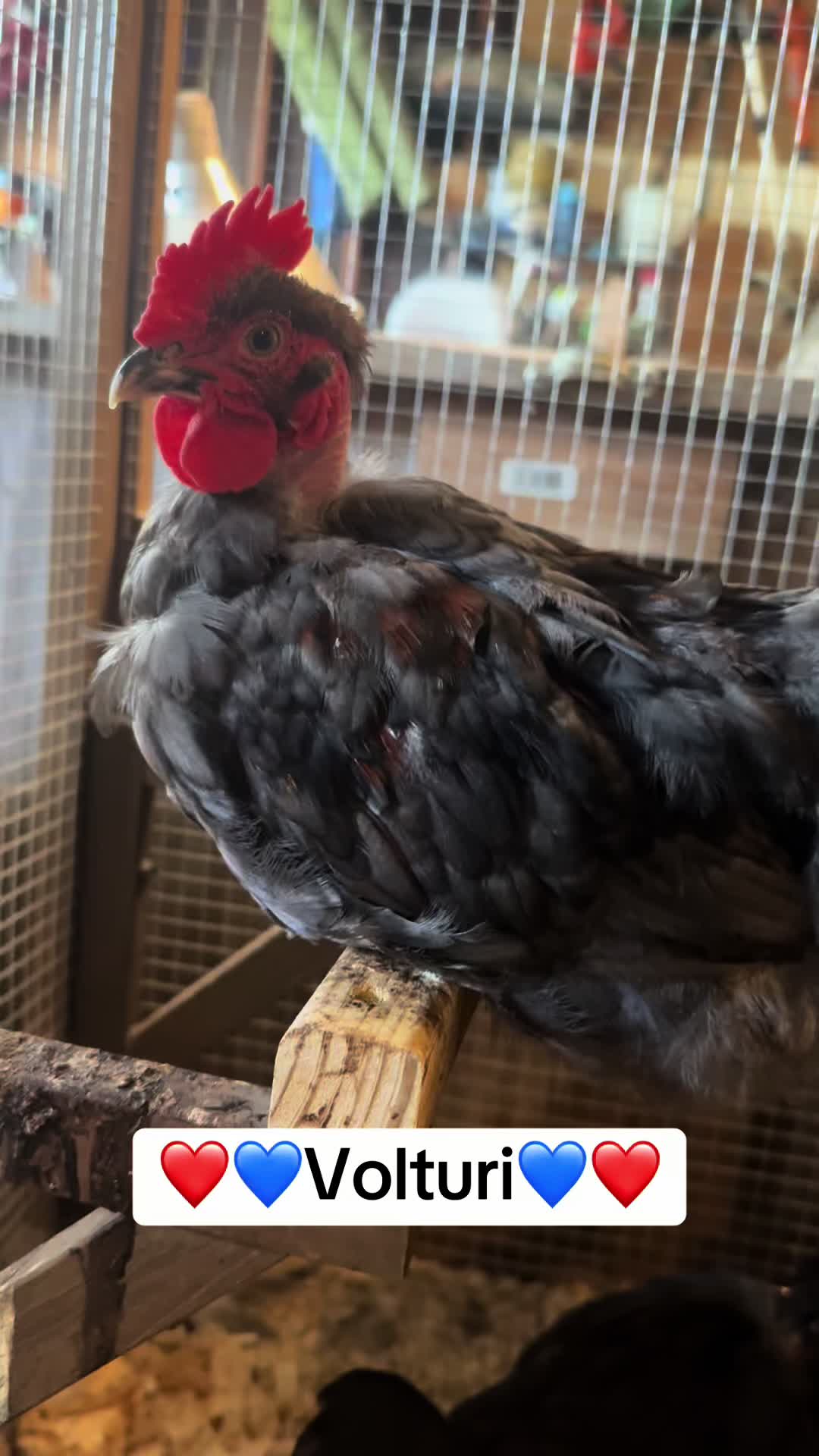 @merrickfarmstead
