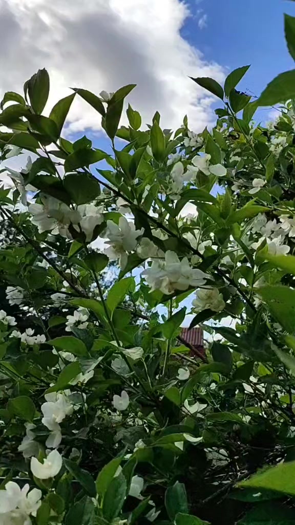 @user7098761311719