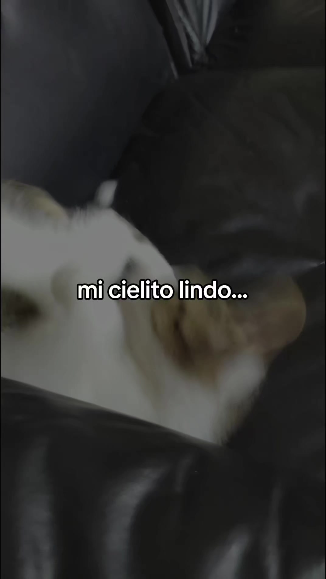 @Ana Yanett