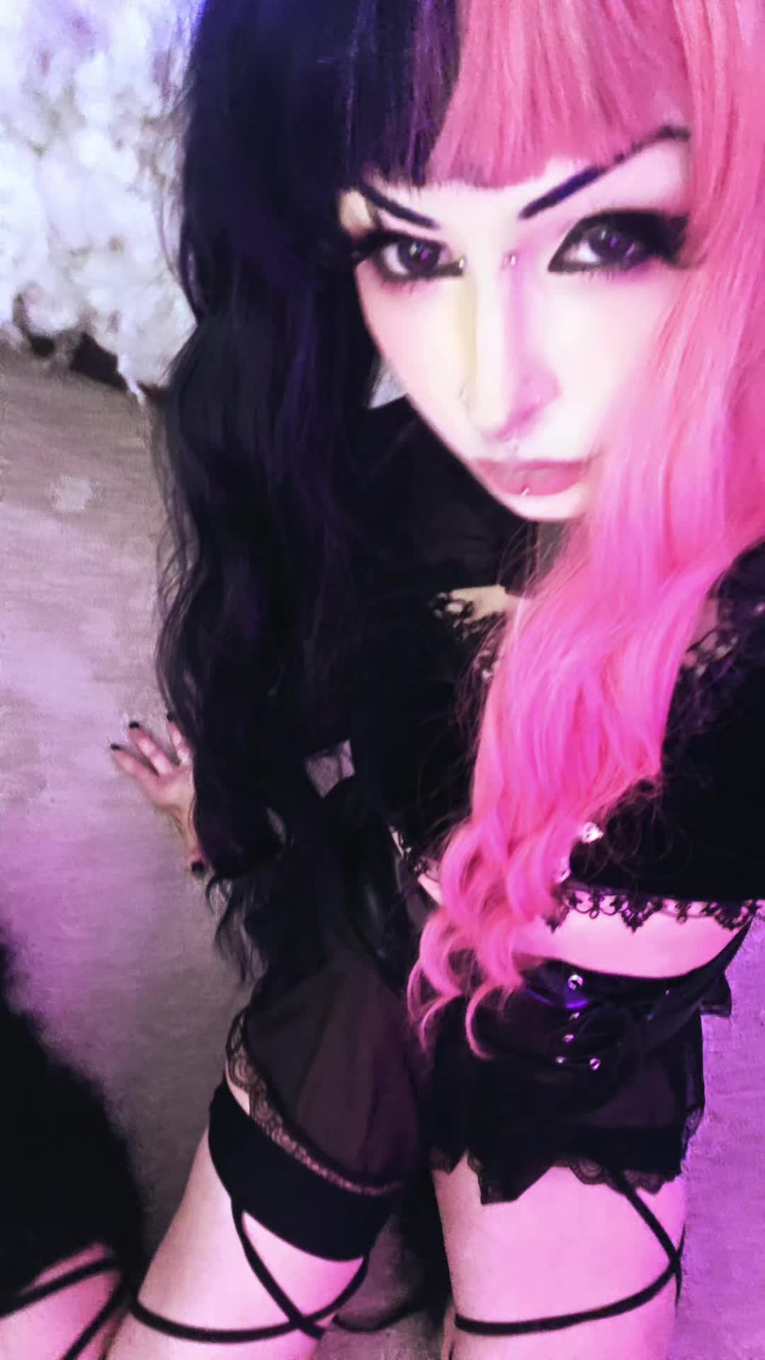 @🖤 Moxy 🖤