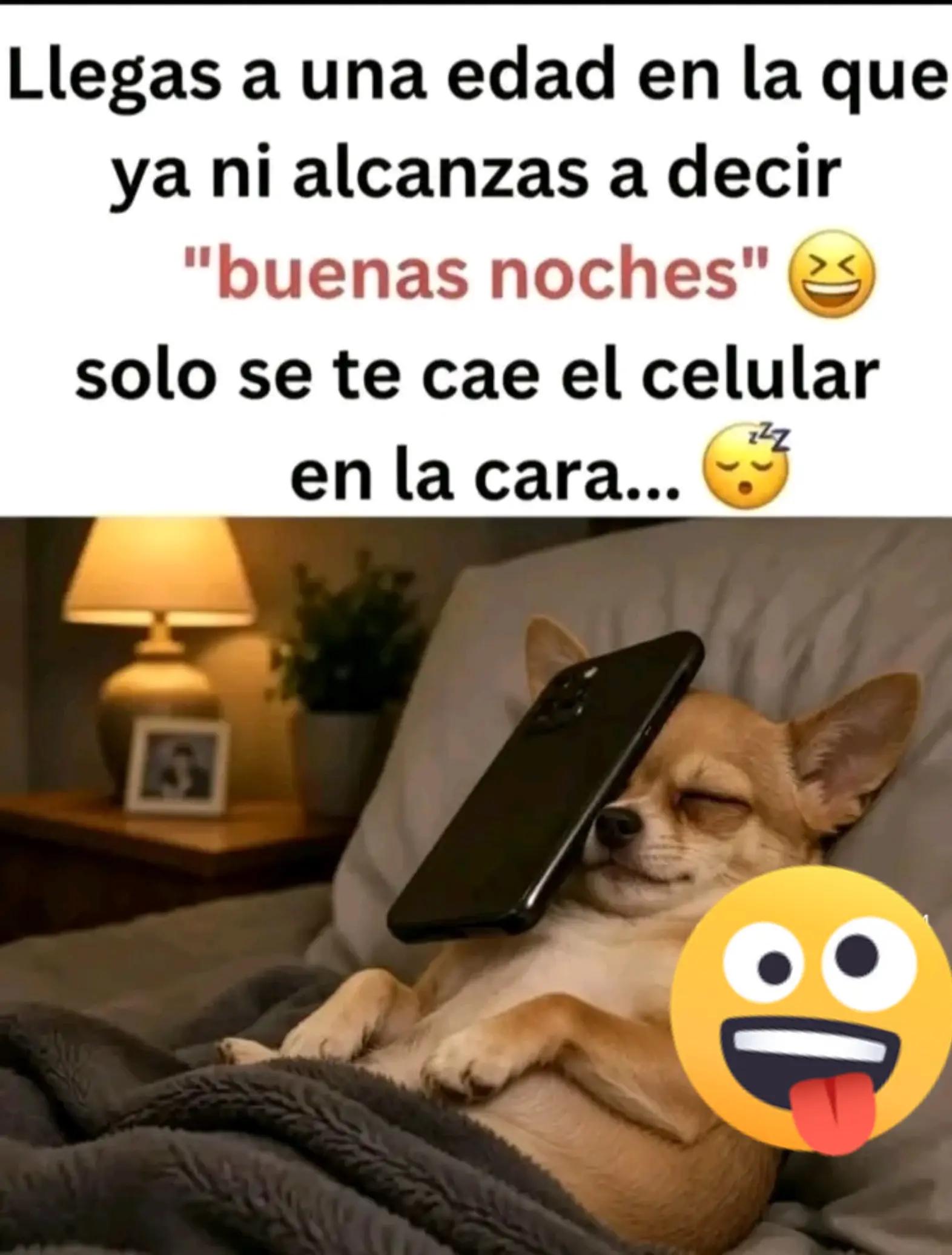 @Blanquiz