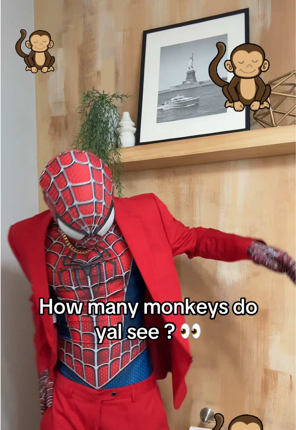 @SPIDA 🕷️