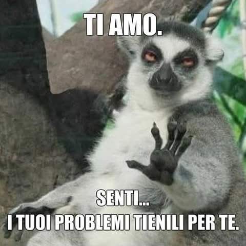 @cuccaro federica