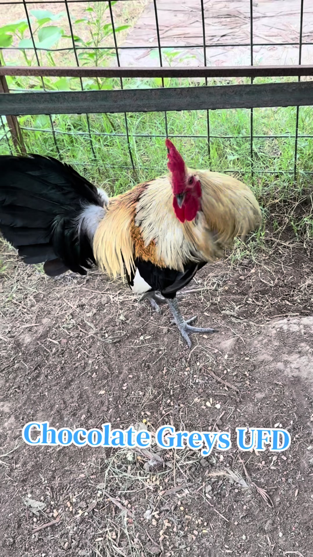 @Bryan Gamefarm