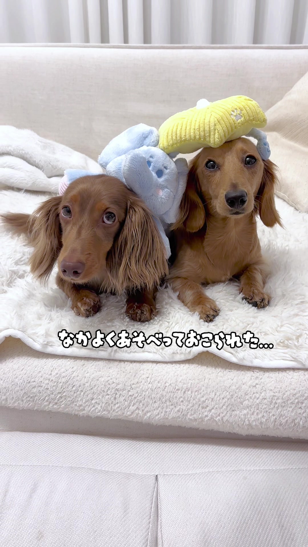 @kuku.yoyo_boy