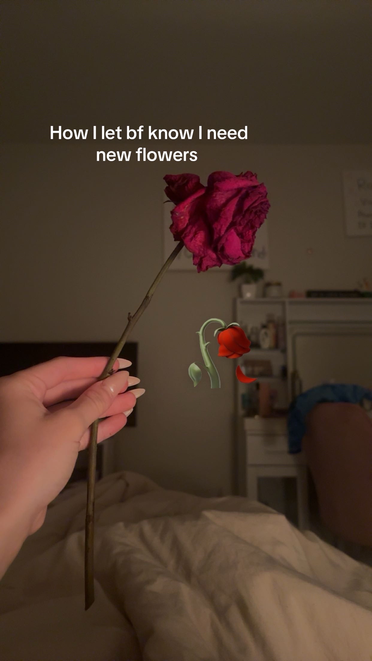 @janelletiktok
