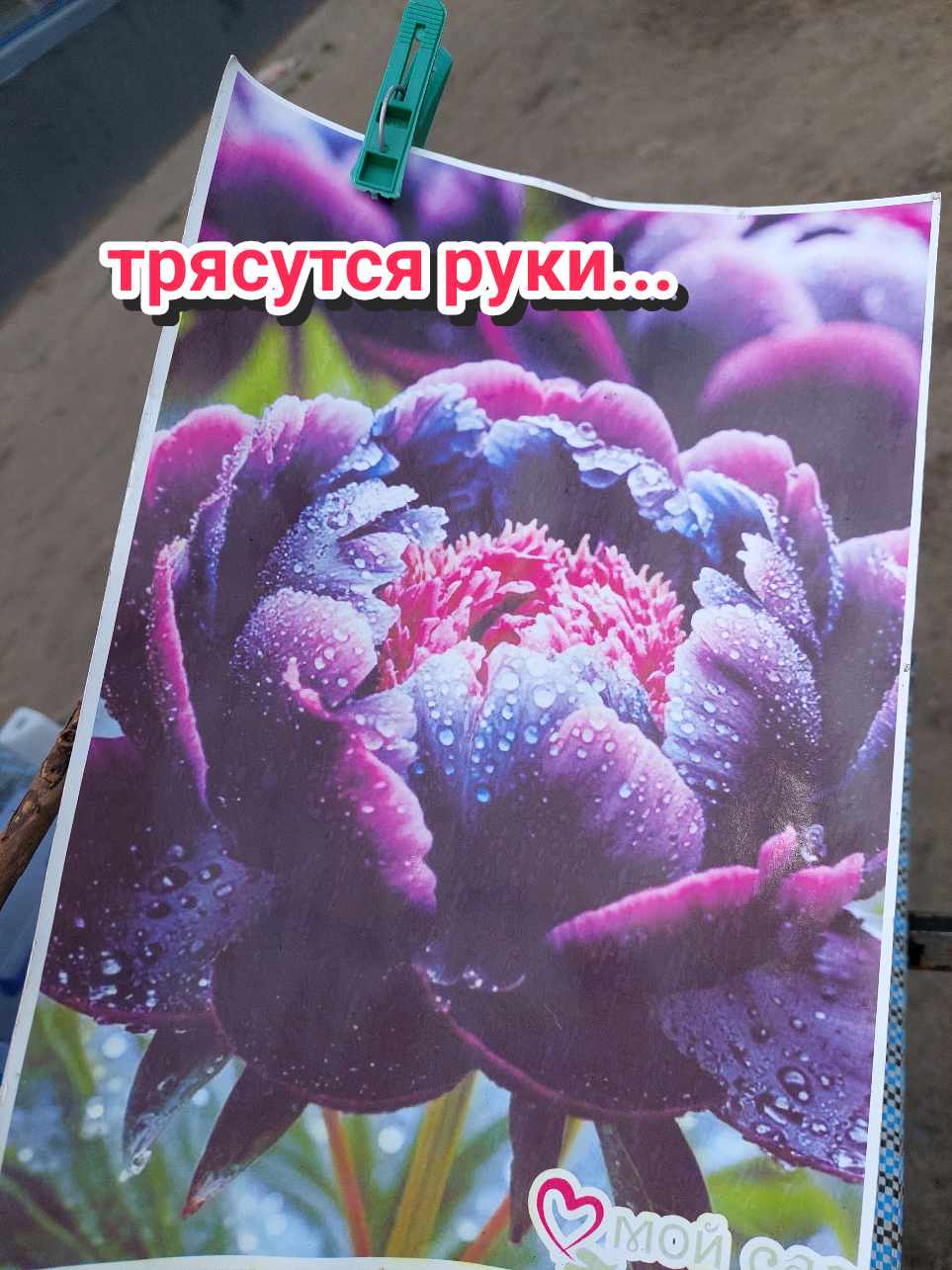 @Рыся✔️🇧🇾
