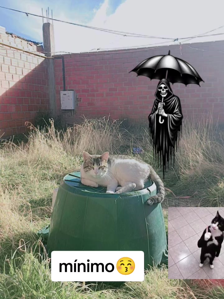 @♥️🦋tú cholita Elvira 🦋♥️