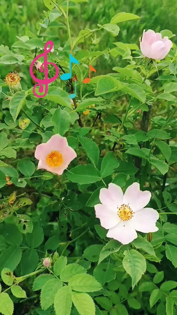 @danuta.2252*