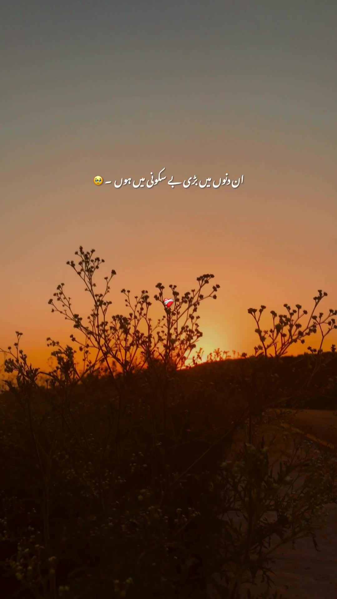 @⚜️ 𝐘𝐨𝐮𝐬𝐚𝐟𝐳𝐚𝐢 ࿐