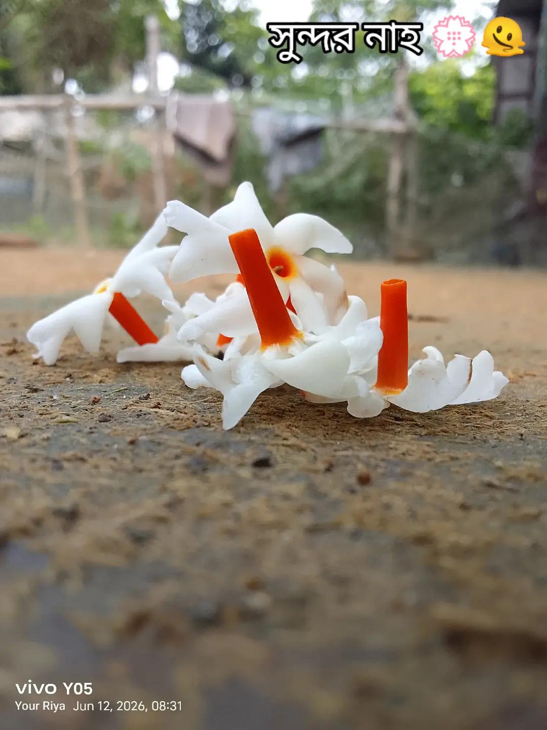 @-নমশূদ্রের সন্তান 🚩