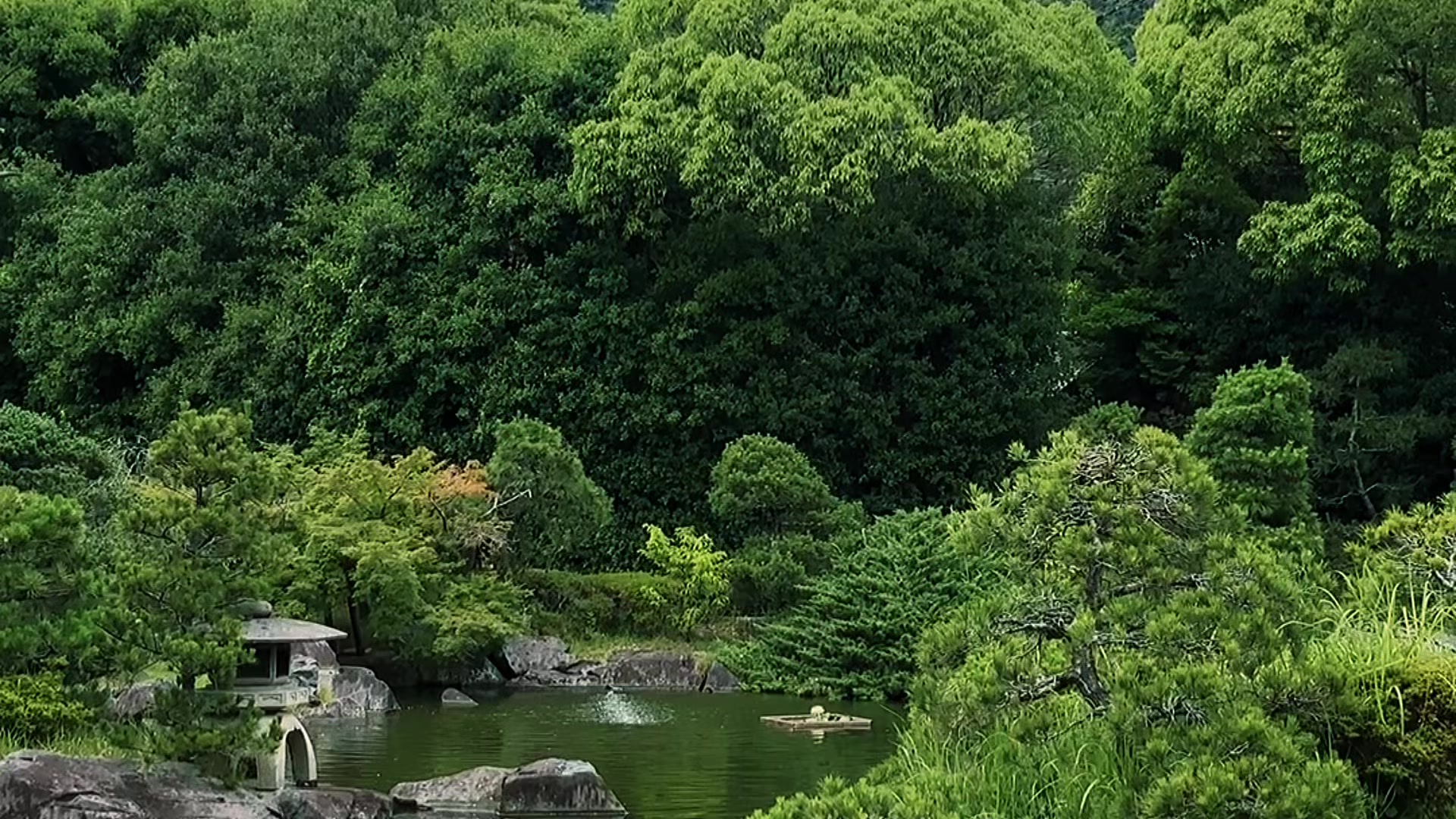 @rukaiya_afrooz