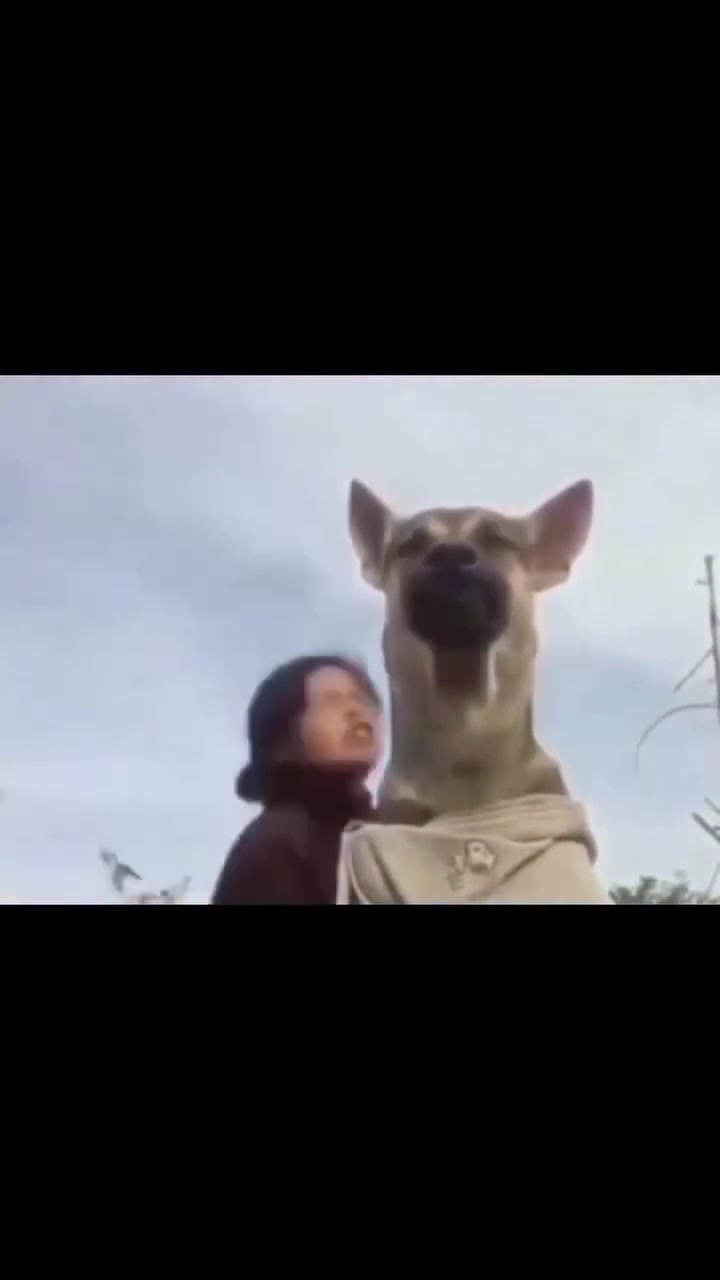 @Area of memes