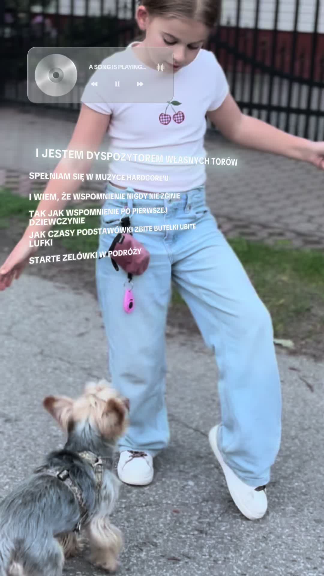 @🕊️