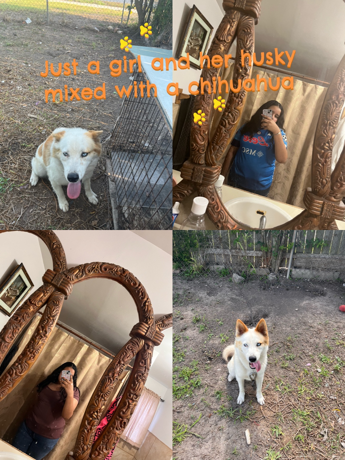 @𖤐Yuji Itadori 𖤐 🐶