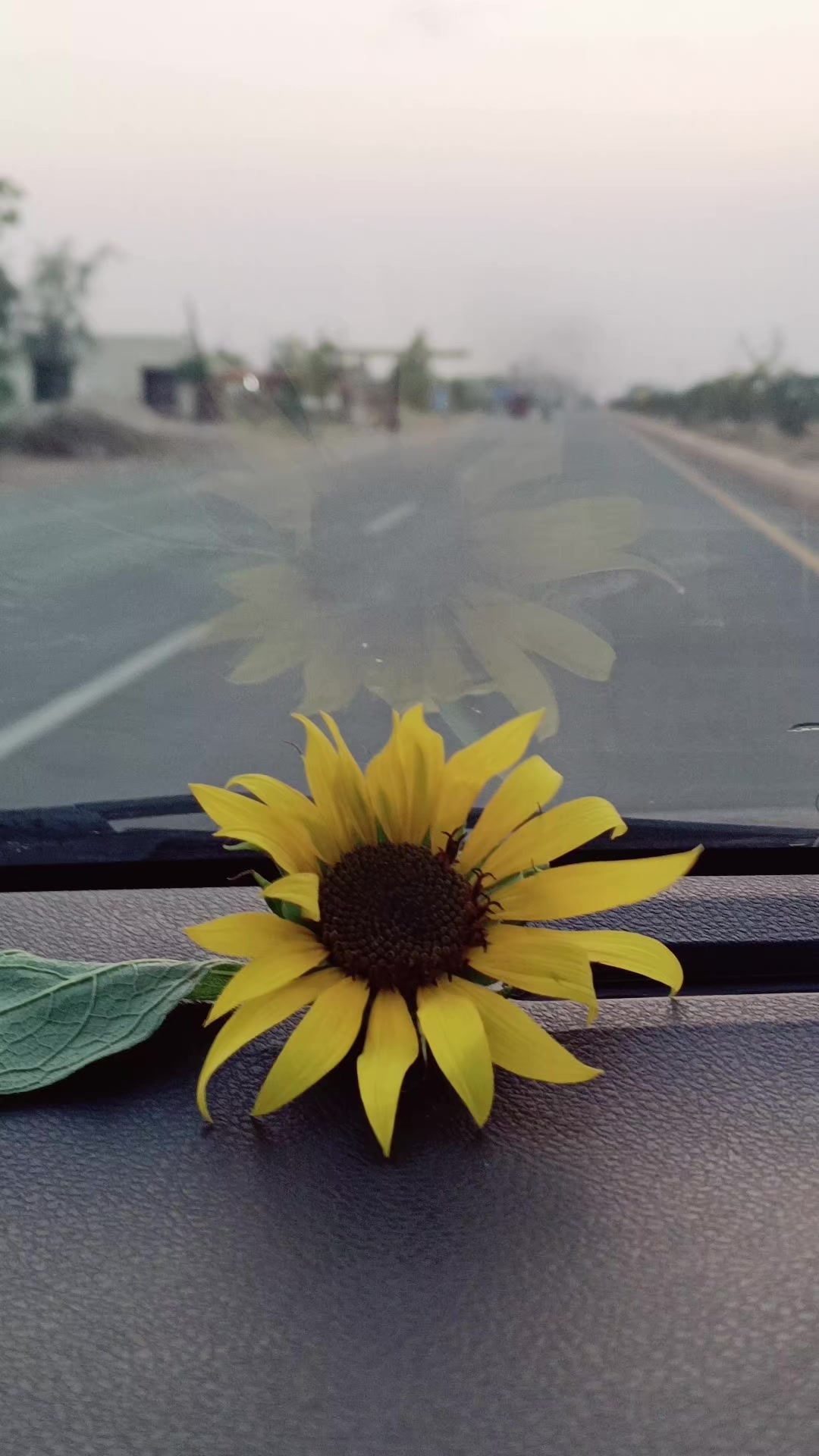 @Quaidabad Di Kuri