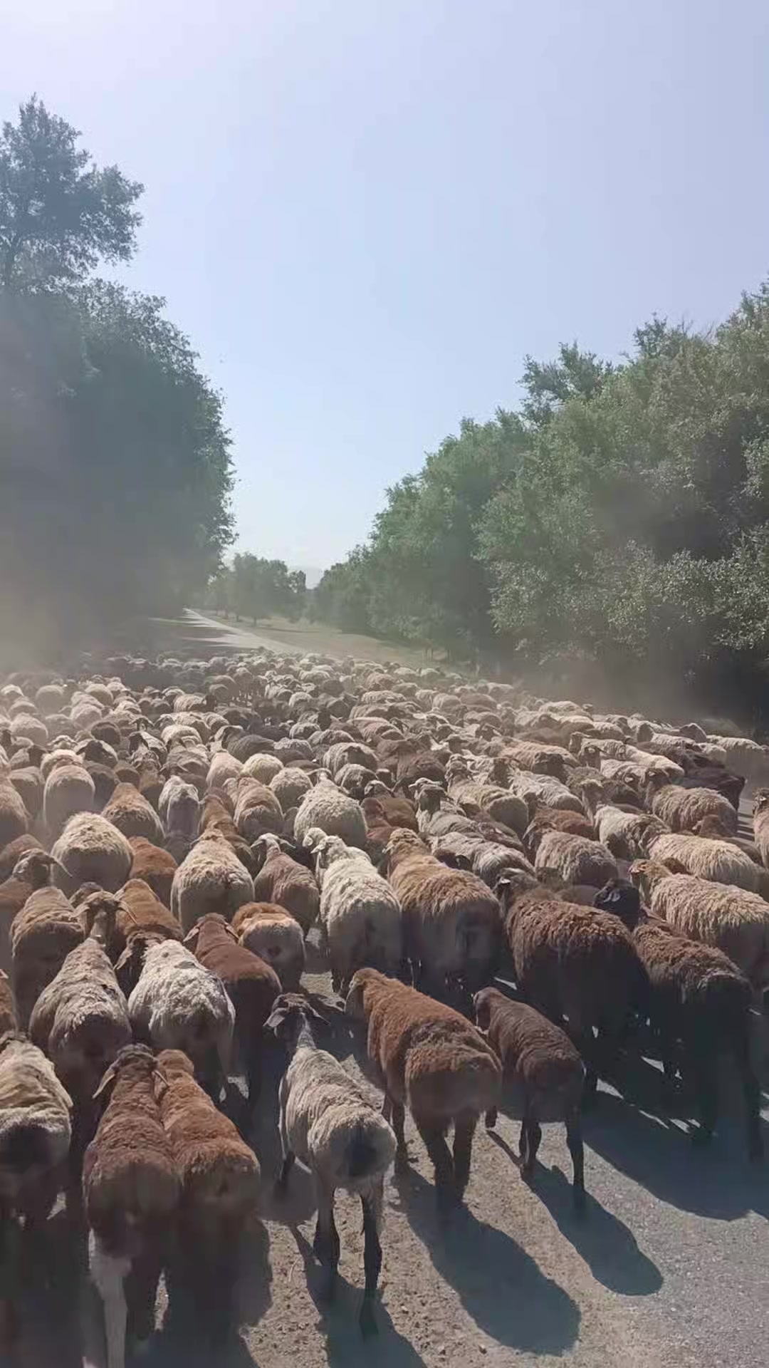 @ауыл баласы