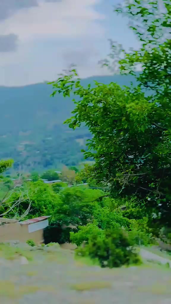 @༺デ═一 شہزادہ 一═デ༻