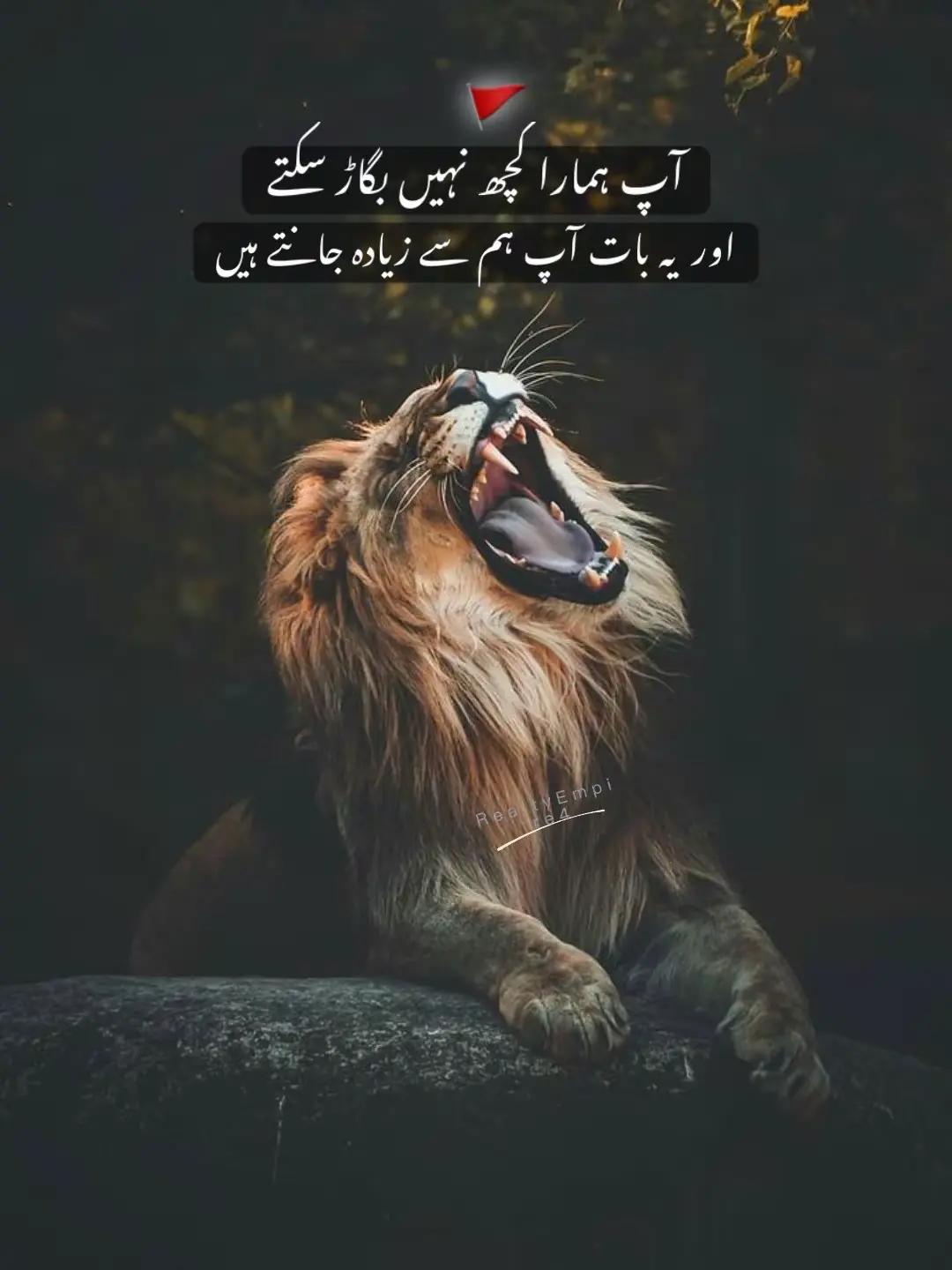 @✨رضا گل🦅